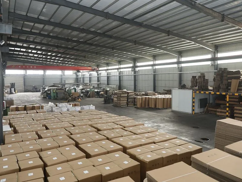 product-800-600